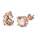 925 Sterling Rose Gold Colour Cubic Zirconia Royal JourneyJewelry Eternity Stud Earring women's best Gifts