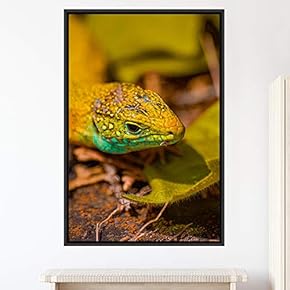 signwin Framed Canvas Wall Art Reptile Contemporary Dramatic...