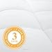Linenspa Comforter Duvet Insert Twin XL White Down Alternative All Season Microfiber-Twin XL Size - Box Stitched