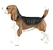 Safari Ltd Best in Show Dogs - Beagle - Realistic Hand Painted Toy Figurine Model - Quality Construction from Safe and BPA Free Materials - For Ages 3 and Up by Safari