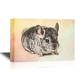 Canvas Wall Art - Grey Nice Chinchilla - Gallery Wrap Modern Home Art | Ready to Hang - 12x18 inches