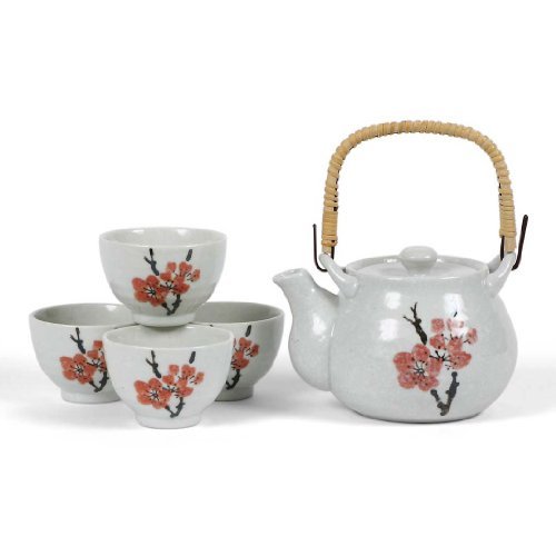 The Tea Supply Japanese Stoneware Tea Set Gift Set with Tea Pot and