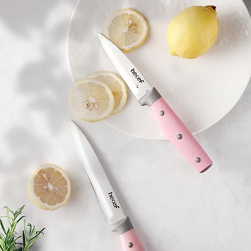 hecef 5 Pieces Kitchen Knives with Magnet Knives Organizers (33 cm), Professional Stainless Steel Kitchen Knives Set with Magnetic Bar Knives (Pink)