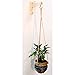 Wall Hanger Bracket for Plants or Macrame, Wood Wall Hook for Indoor Hanging Plantersthumb 2