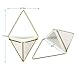 LANMU Hanging Container,Handcrafted Wall Vases,Geometric Wall Decor,Wall Vase Hanging,Plant Holder for Air Plants/Succulent Plants/Artificial Flowers/Mini Cactus/Geometric Plants (2 Pack)