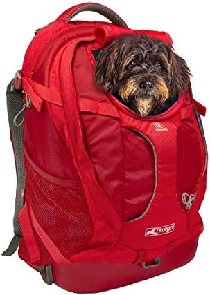 Kurgo Dog Carrier Backpack for Small Pets – Dogs & Cats TSA Airline Approved Cat Hiking or Travel Waterproof Bottom G-Train K9 Ruck Sack Red Black
