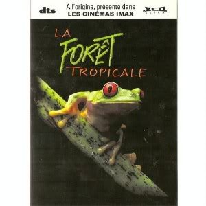 Tropical Rainforest (Forêt Tropicale)