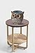 ANTS Speaker Stand Case Compatible Amazon Echo Dot (2nd or 1st Generation). Alexa Echo Dots Owl Statue Crafted Guard Station （Brown）