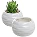Set of 2 Round White Ceramic Textured Succulent Planter Pots/Decorative Herb Container Pots - 3.5 Inch
