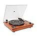 HOFEINZ Vintage Style Natural Wood Belt Driven Turntable with 3 Speed Built in Stereo Speakers, Bluetooth and Vinyl-to-MP3 Recording
