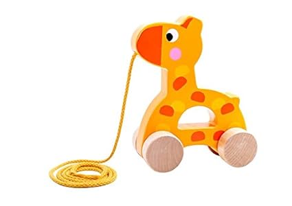pull along toys for toddlers
