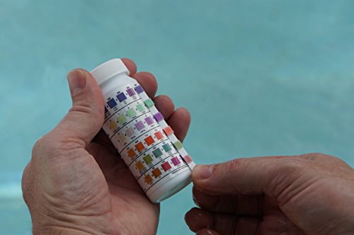 CLOROX Pool&Spa 81000CLX Saltwater Test Strips