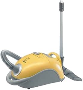 Bosch BSG 82422 Ergomaxx Professional PRO Parquet - Aspirador: Amazon ...