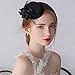 Pixnor Women's Ladies Flower Decor Hair Clip Feather Fascinator Burlesque Punk Mini Top Hat - One Size (Black)