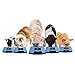 Golden Wolf Products Dripless Water Bowl, Anti gulping, Spill Proof, no Skid, no Mess - Great for Dogs or Cats (Small or Large Breeds up to 100 lbs) - only Holds 24oz of Water to Keep Water Fresh