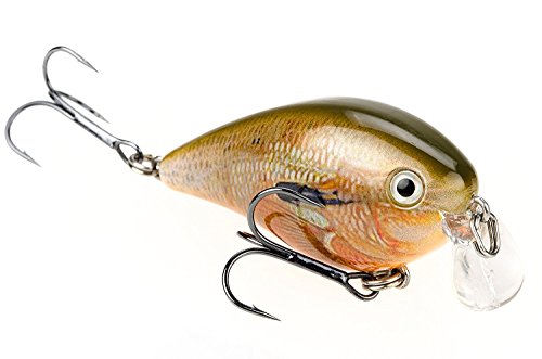 Strike KingKVD 1.5 Shallow Square Bill Crankbait