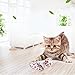PAWISE Small Cat Litter Box Kit for Kittens – 5‑Piece Kit with Low Entry Litter Pan, Scooper, Feeding Bowls & Mouse Toy – Cat Starter Set for New Kitty Home, Pink