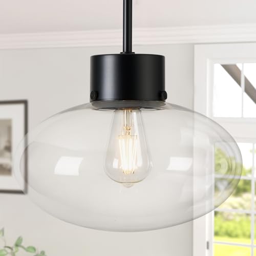 Osimir Large Globe Glass Pendant Light OS-JJ1513-1PLBK