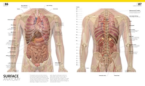 The Complete Human Body, 2nd Edition: The Definitive Visual Guide - Thumbnail 3