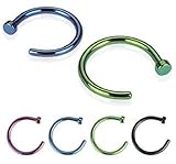 (4pcs) Titanium Anodized over 316L Surgical Steel Nose Hoop Ring 20g 5/16