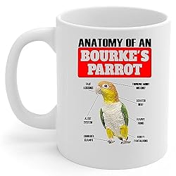 Lovesout Funny Standing Caique Parrot Anatomy Chart