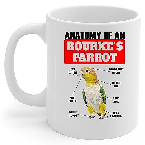 Lovesout Funny Standing Caique Parrot Anatomy Chart