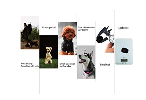 petalways gps tracker