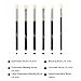 MSQ Eye Brush Set Rose Gold 6pcs Eyeshadow Set Eyebrow Brush Makeup Brushes Eyeliner Brush for Eyeshadow, Eyebrow, Eyeliner, Blending, Concealer, Best for Gifts