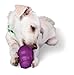 PetSafe Premier Squirrel Dude Dog Toy, Small