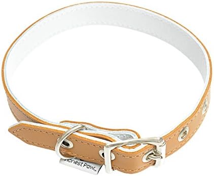 Genuine Leather Designer Dog Collar by Honest Paw - Caramel - Size 14"-18" - 3/4" Width
