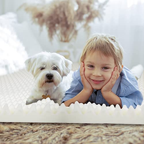 Egg Crate Mattress Topper, Ventilated, Convoluted Foam for Pressure