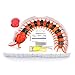 Giveme5 Infrared RC Centipede, Remote Control USB Infrared RC Centipede Tricky Simulation Scary Fake Centipede Toy Halloween Ornaments Props for Kids and Adults