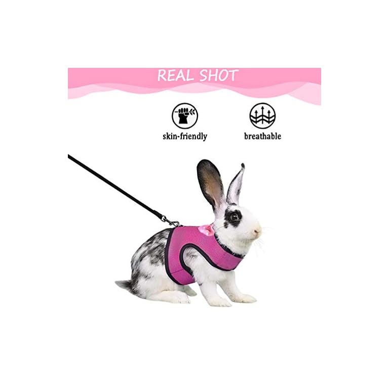 2 pcs Bunny Harness and Leash Set, Pink and Green Rabbit Vest Harness