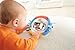 Fisher-Price 3-in-1 Apptivity Entertainer (Discontinued by Manufacturer)