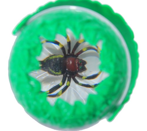 Insect Lore Big Bug Magnifying Jar