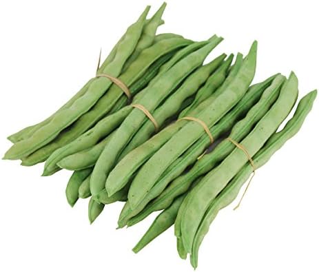 Greatflower Pack of 24 PU Artificial Vegetable Green Bean