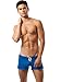 N2N - L2 -Sexy Super Soft Silk Like Featherlight Lounge Shorts- Mocha, Blue or Silver