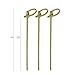 6 Inch Bamboo Knot Cocktail Pick & Appetizer Skewer - 100ct; / Eco Friendly