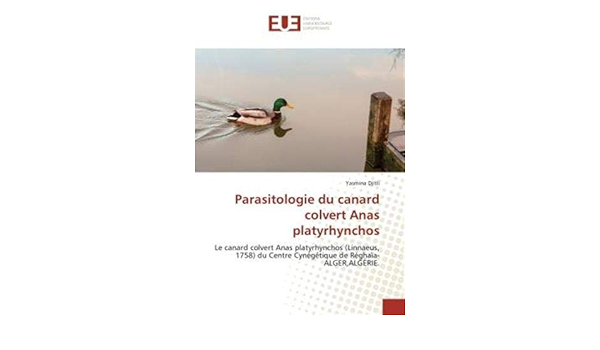 Parasitologie Du Canard Colvert Anas Platyrhynchos Le Canard Colvert Anas Platyrhynchos Linnaeus 1758 Du Centre Cynegetique De Reghaia Alger Algerie Omn Univ Europ French Edition Djitli Yasmina Amazon Com Books Parasitologie Du Canard Colvert Anas Platyrhynchos Le Canard Colvert Anas Platyrhynchos Linnaeus 1758 Du Centre Cynegetique De Reghaia Alger Algerie Omn Univ Europ French Edition Djitli Yasmina Amazon Com Books
