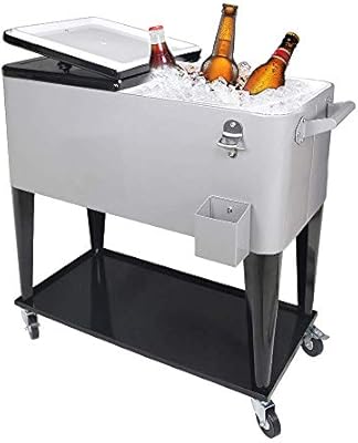 stand up cooler on wheels