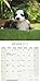 Old English Sheepdog Calendar - Dog Breed Calendars - 2017 - 2018 wall Calendars - 16 Month by Avonside