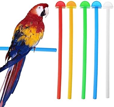 bird cage perches plastic