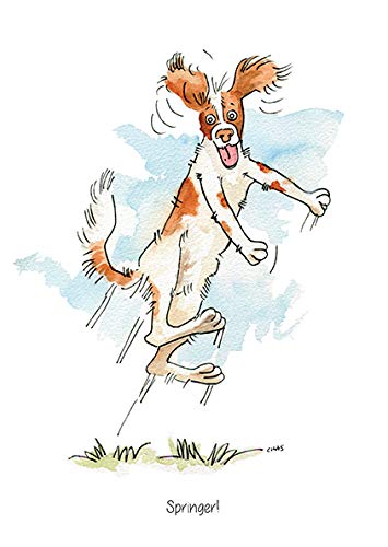 A5 Greeting Card 'Springer !' Springer Spaniel Dog Card for Thank you's, Invitations, Birthdays etc. Blank Inside for Your own Message and cellophane Wrapped with an Envelope (AC69)