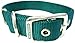 Hamilton Double Thick Nylon Deluxe Dog Collar, 1-Inch by 22-Inch, Dark Green