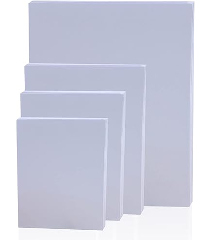 Amazon.com : CANSON Infinity Photo Satin Premium RC 270gsm A3
