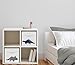 Navy Blue and Grey Modern Dino Foldable Fabric Storage Cube Bins Boxes Organizer Toys Kids Baby Childrens for Mod Dinosaur Collection by Sweet Jojo Designs - Set of 2