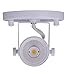 CLOUDY BAY LED Flush Mount Track Light Head,CRI90+ 5000K Day Light Dimmable,Adjustable Tilt Angle Track Lighting Fixture,8W 600lm 40° Beam Angle,White Finish