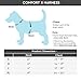 Gooby Comfort X Head In Harness - Black, Medium - No Pull Small Dog Harness Patented Choke-Free X Frame - Perfect on the Go Dog Harness for Medium Dogs No Pull or Small Dogs for Indoor and Outdoor Use