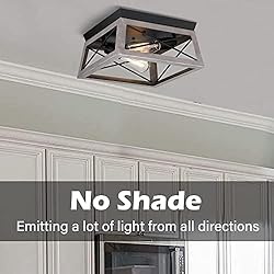 Pia Ricco Flush Mount Ceiling Light