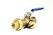 Tankless Water Heater Flush Kit 3/4